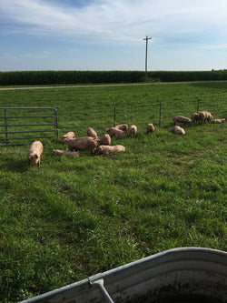 Farm Fresh Pork - Deposit - Half Hog